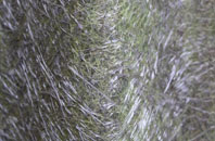 Grunsagill fibreglass roof work